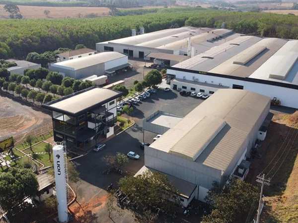 Estrutura atual do Grupo Lion