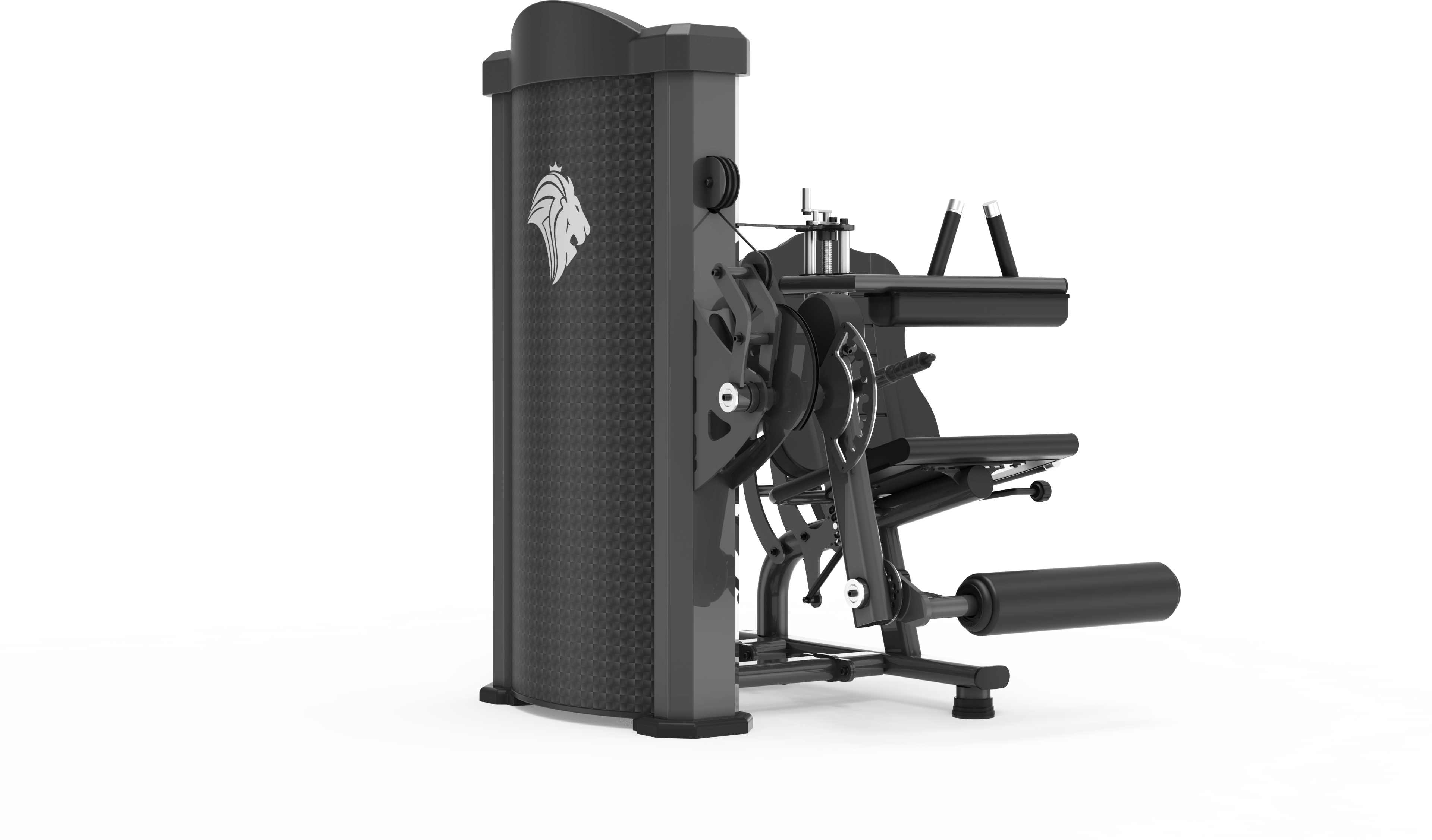 Extensor/Flexor Conjugado